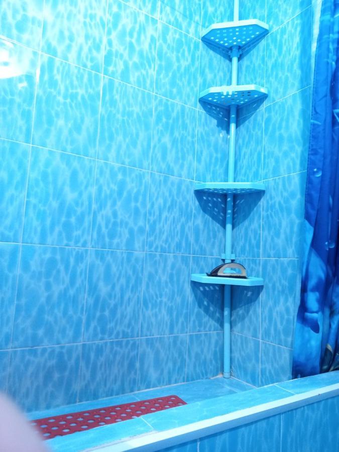 Dasha Guest House 2 Naryn エクステリア 写真